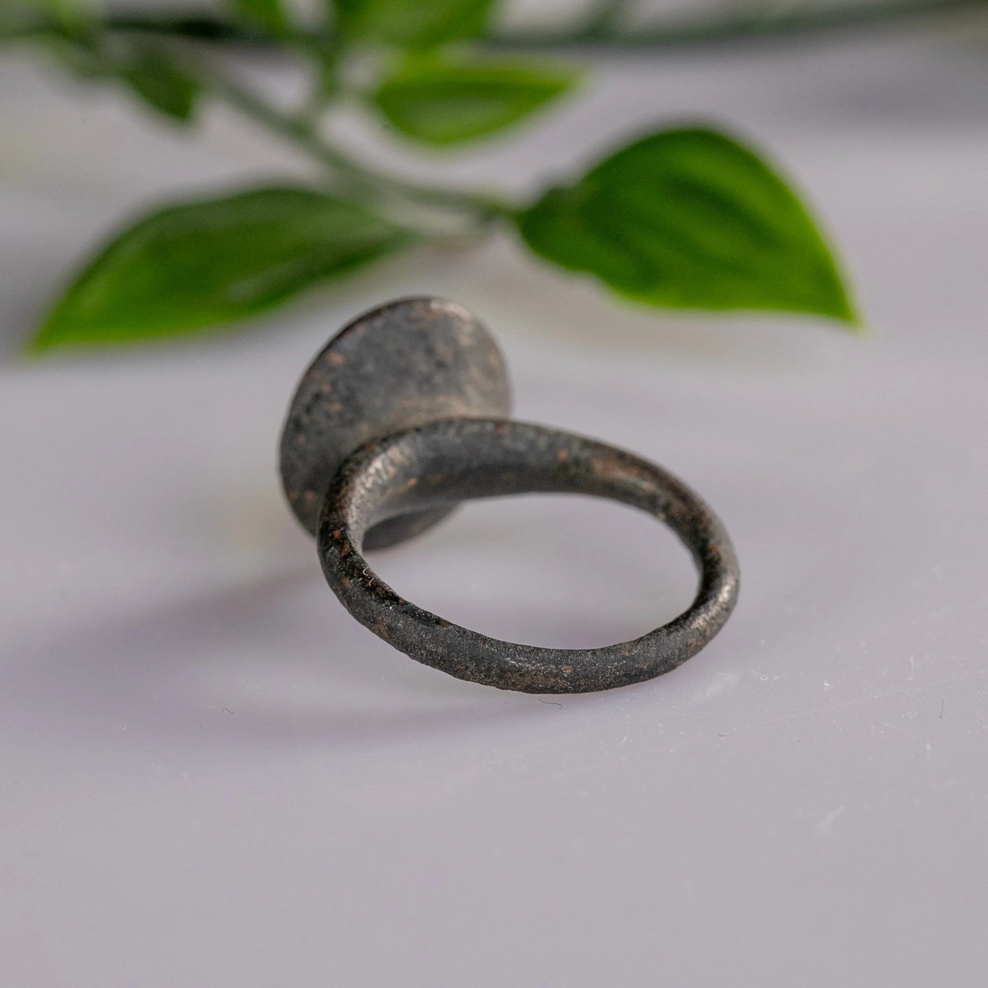 “Leo Fortis” – Roman Bronze Ring with Lion Intaglio (1st–3rd Century AD) – EU 57 / US 8 Aurora Antiqua