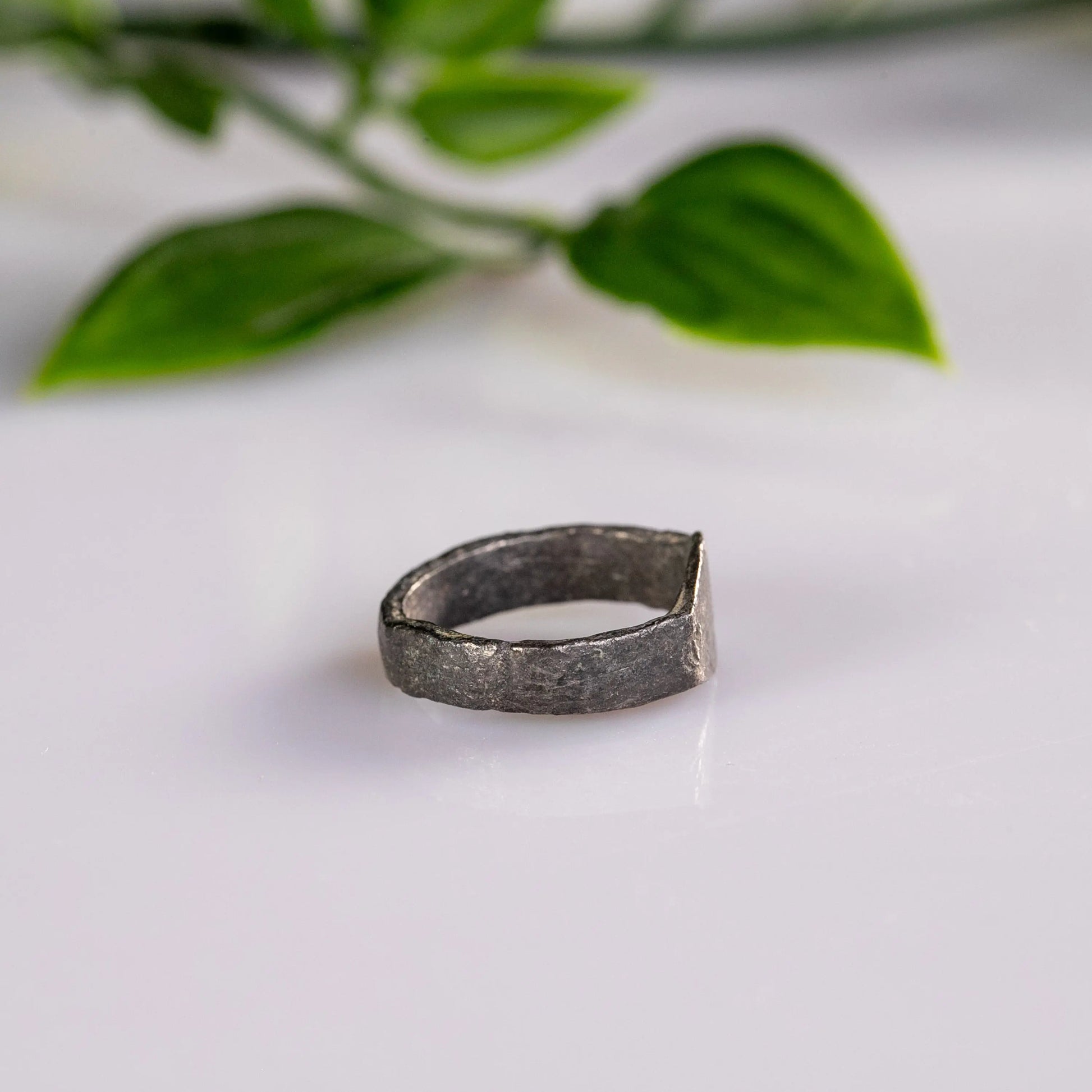 “Palmaris” – Late Roman Silver Ring with Palm Branch Motif (3rd–5th Century AD) – EU 45 / US 3.25 Aurora Antiqua