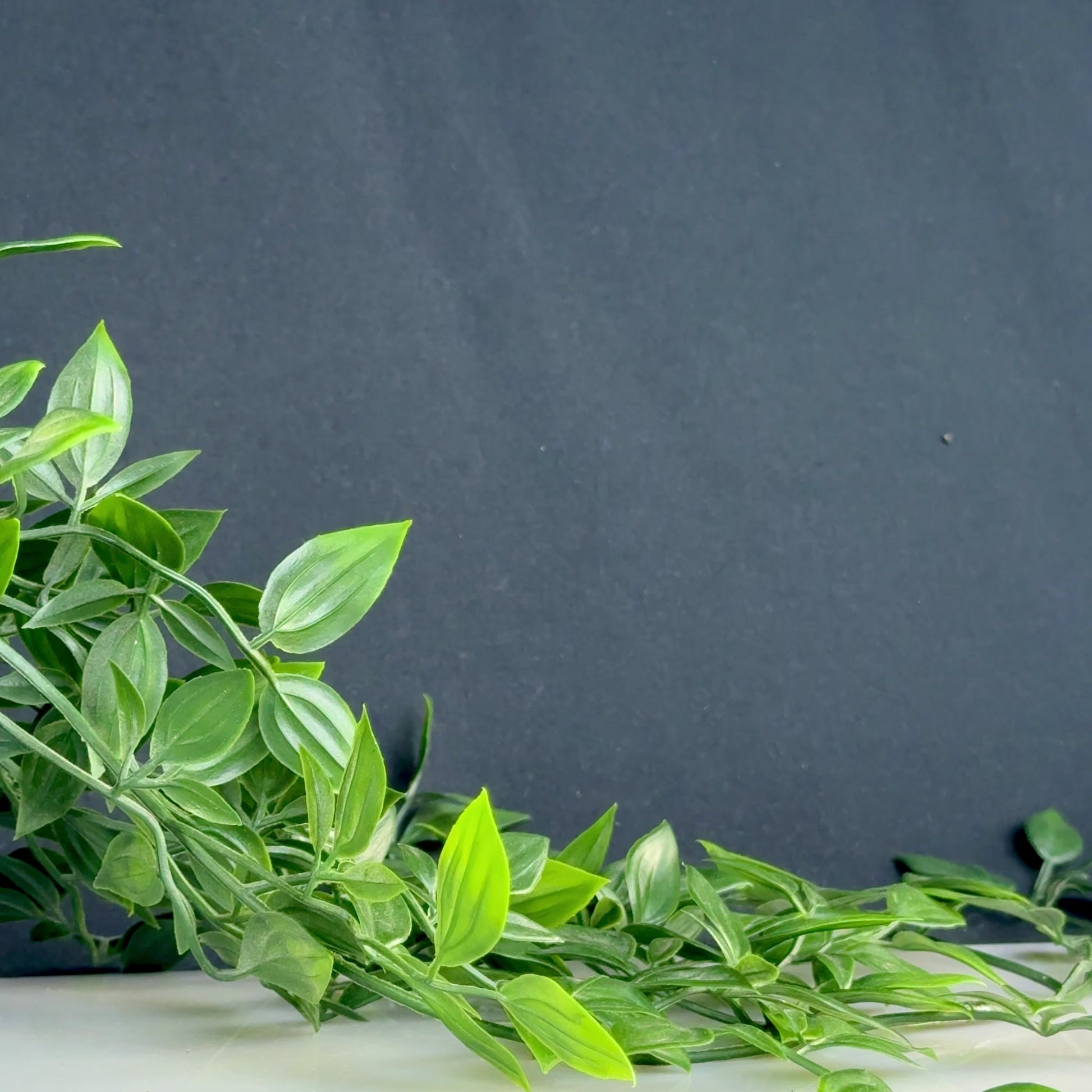 'Chimaron' - Greek Bronze Ring (4th C. BCE) EU 56 / US 7.75