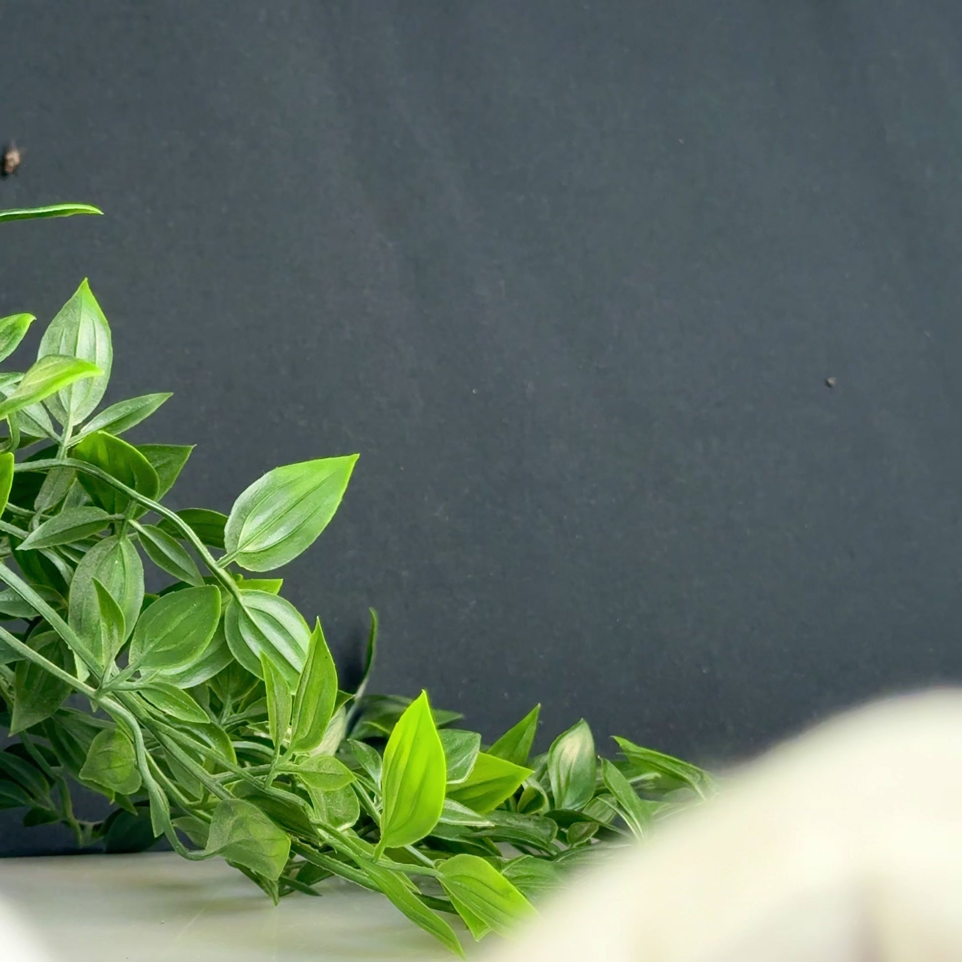 'Diana' - Roman Silver Intaglio Ring (1st-3rd BCE/CE) EU 54 / US 7