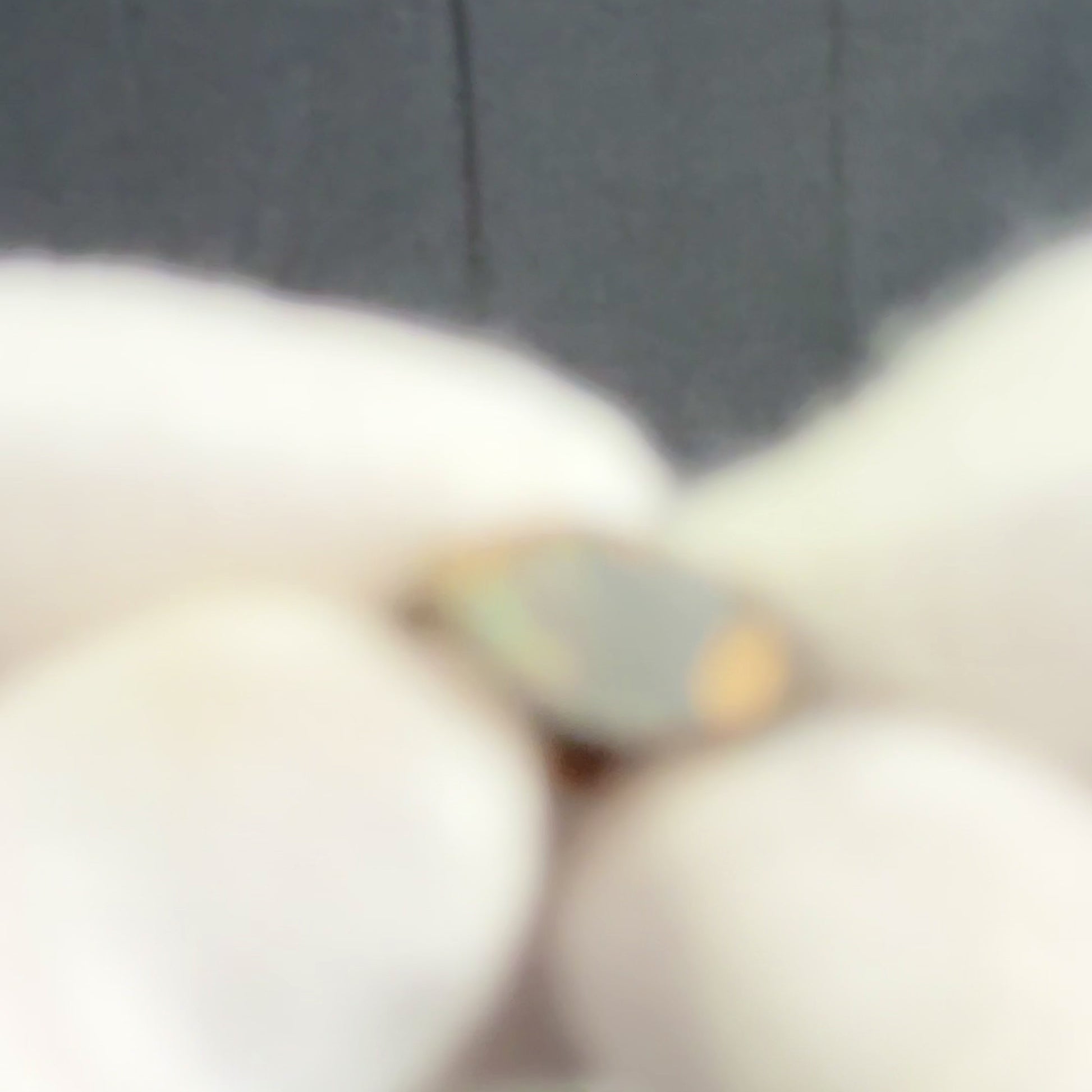 'Alinor' - Medieval Bronze Ring (12th–16th C. CE) EU 47 / US 4