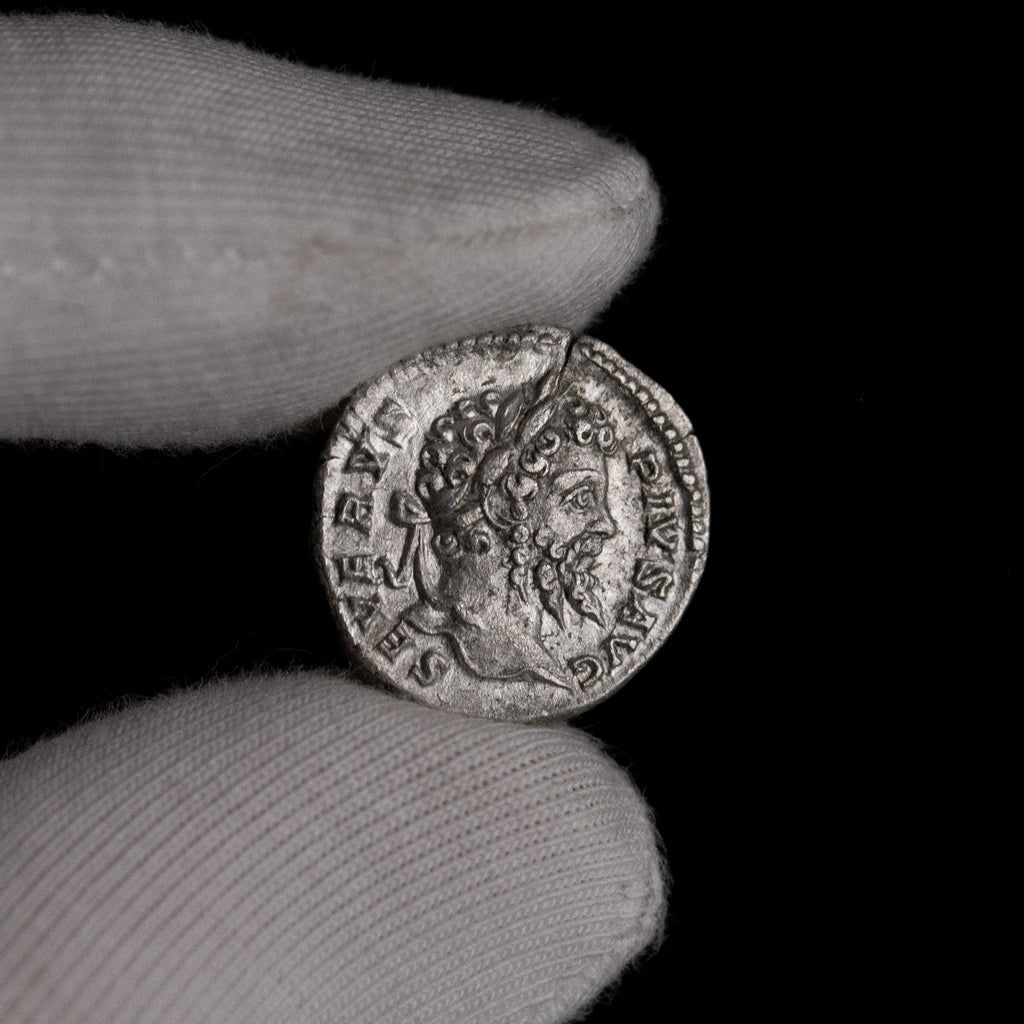 Macro detail of Roman silver denarius of Septimius Severus, portrait close-up.