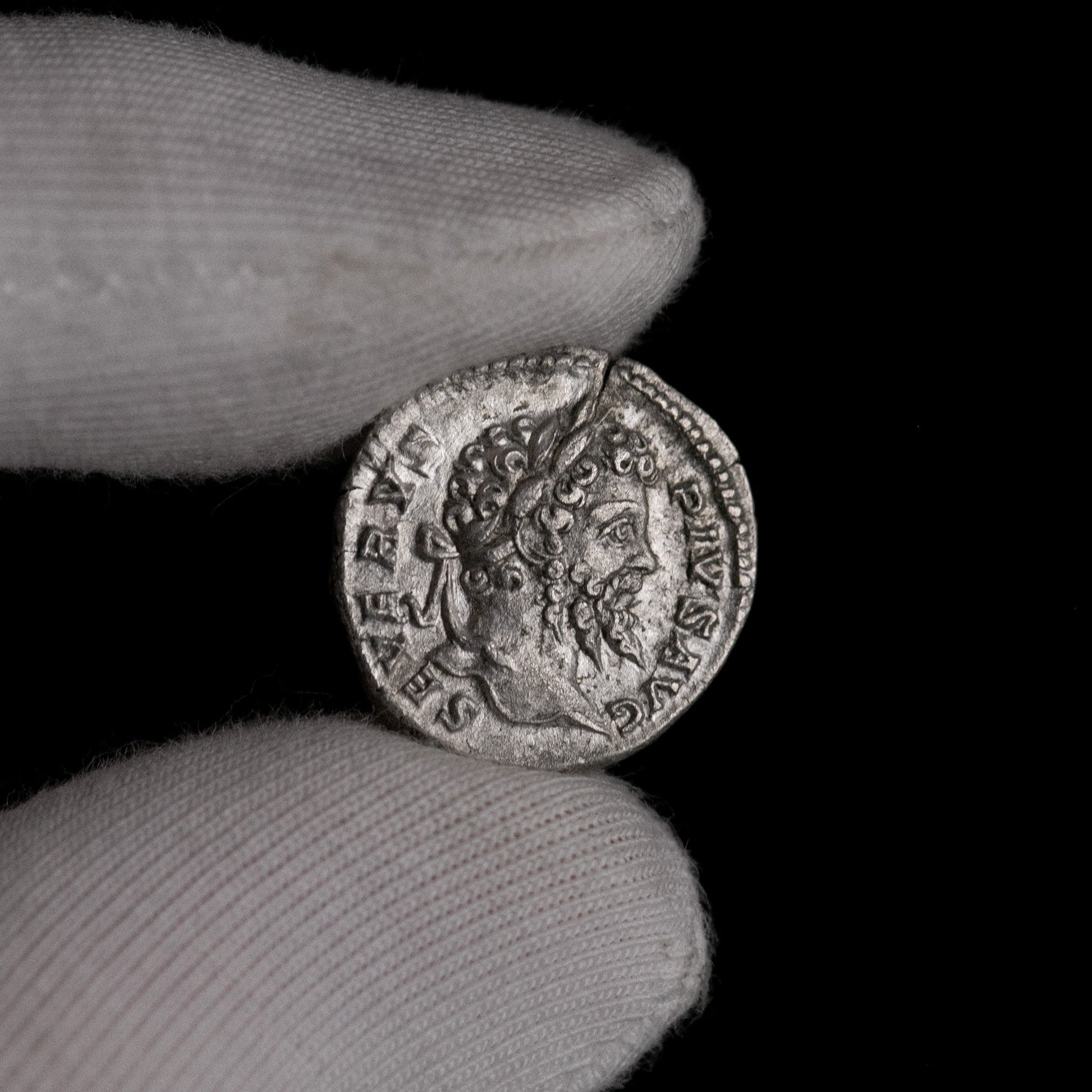 Macro detail of Roman silver denarius of Septimius Severus, portrait close-up.