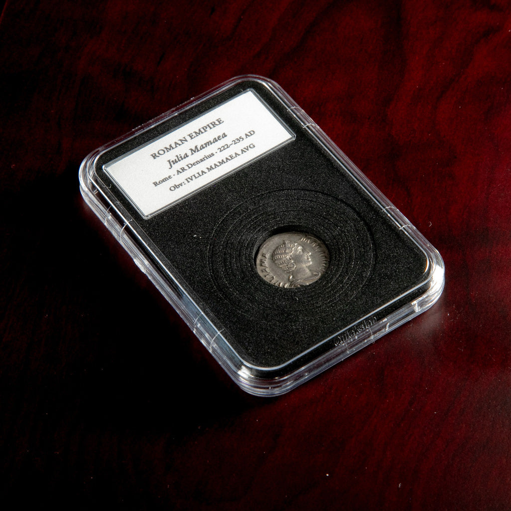 Roman silver denarius of Julia Mamaea in protective slab with catalog label.