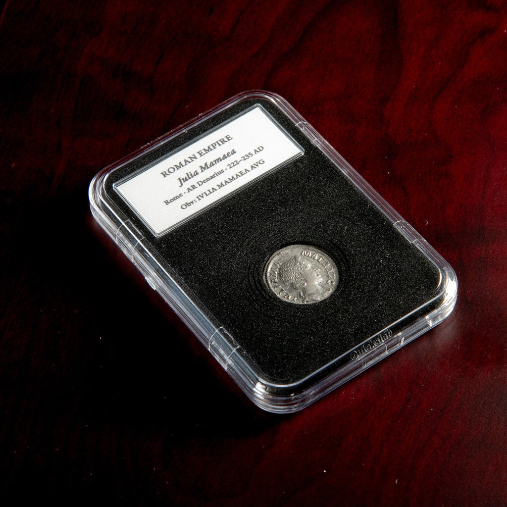 Roman silver denarius of Julia Mamaea in protective slab with catalog label.