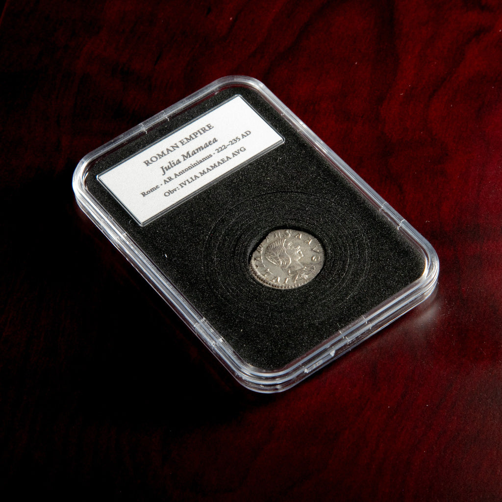 Roman silver denarius of Julia Mamaea in protective slab with catalog label.