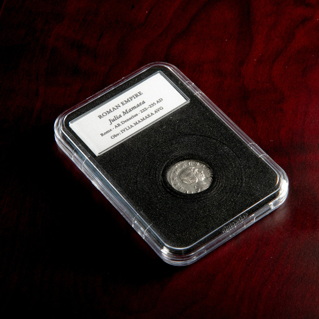 Roman silver denarius of Julia Mamaea in protective slab with catalog label.