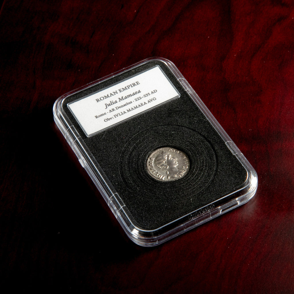 Roman silver denarius of Julia Mamaea in protective slab with catalog label.