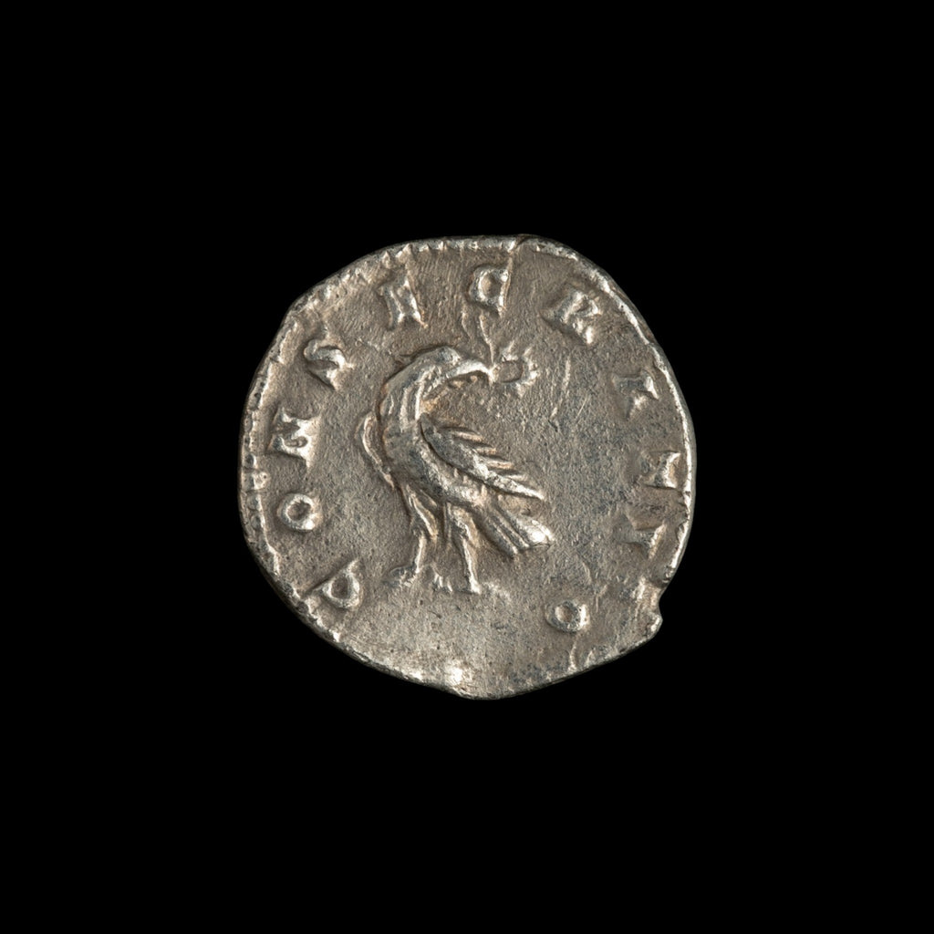 Obverse of Roman silver denarius of Divus Marcus Aurelius (under Commodus), legend DIVVS M ANTONINVS PIVS, radiate or laureate bust right.