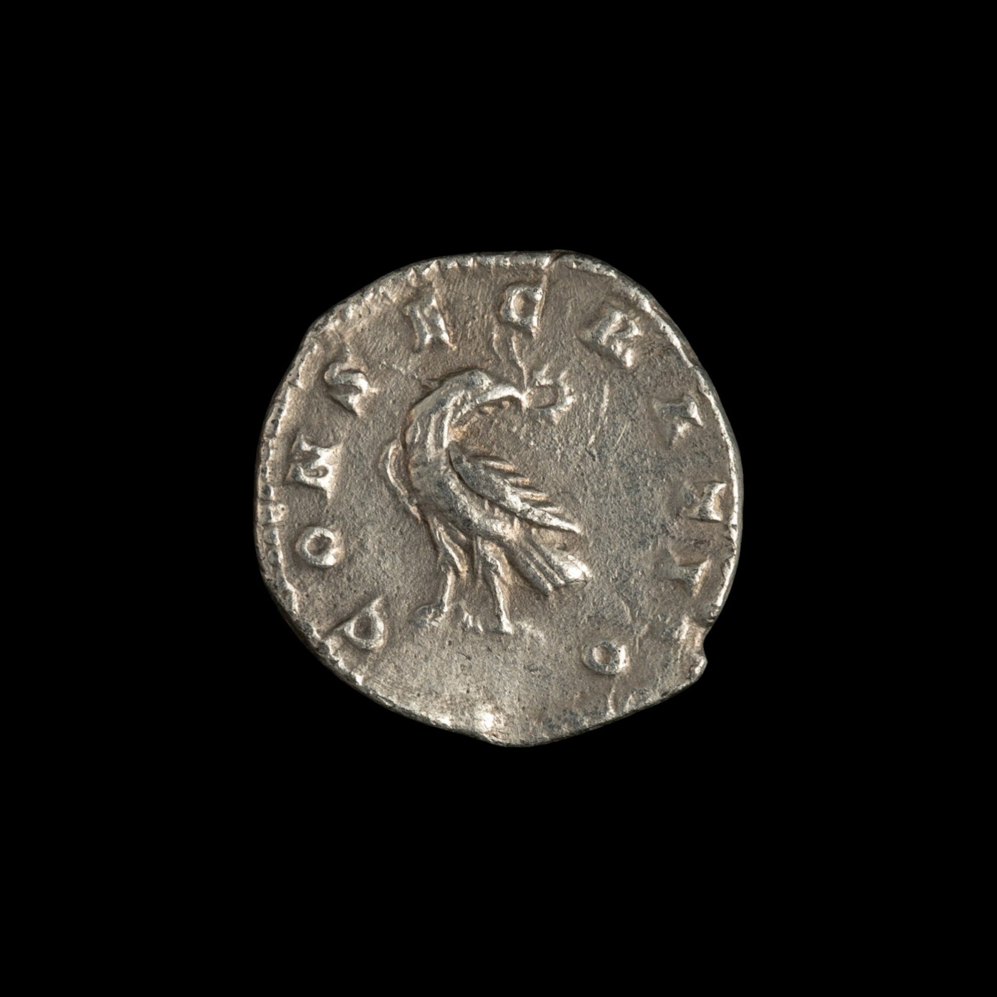 Obverse of Roman silver denarius of Divus Marcus Aurelius (under Commodus), legend DIVVS M ANTONINVS PIVS, radiate or laureate bust right.