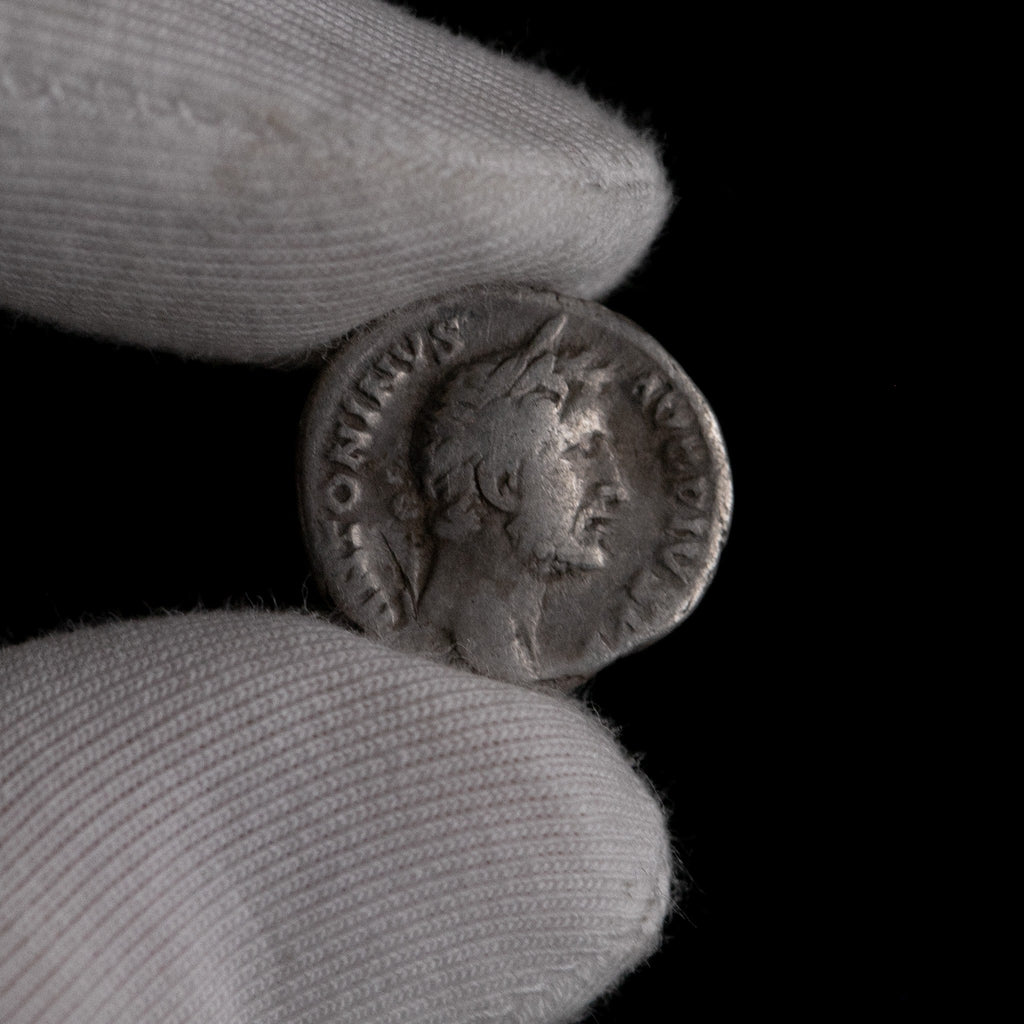 Macro detail of Roman silver denarius of Antoninus Pius, portrait close-up.