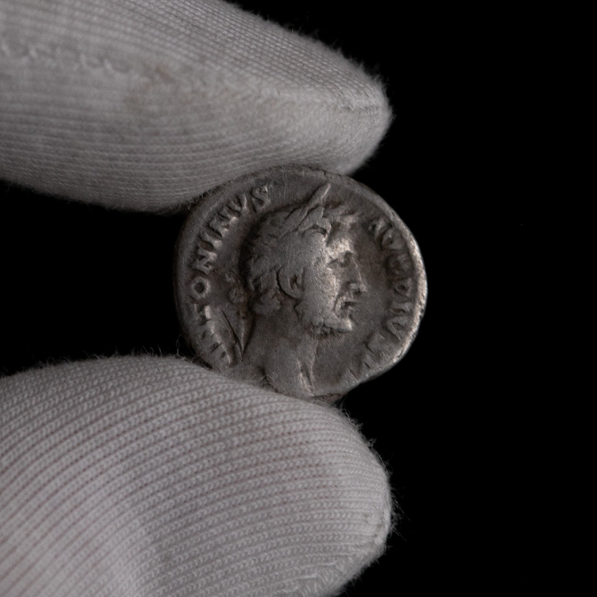 Macro detail of Roman silver denarius of Antoninus Pius, portrait close-up.