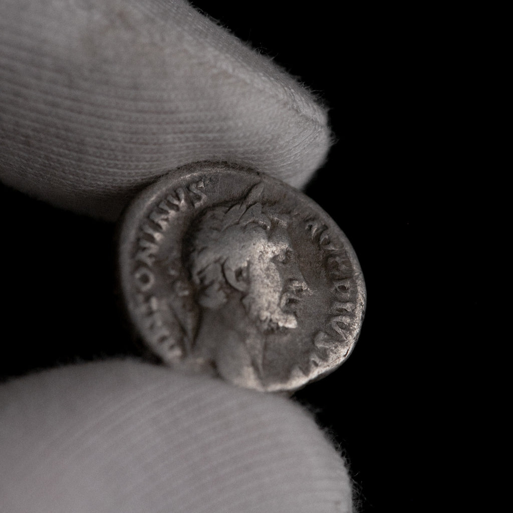 Macro detail of Roman silver denarius of Antoninus Pius, portrait close-up.