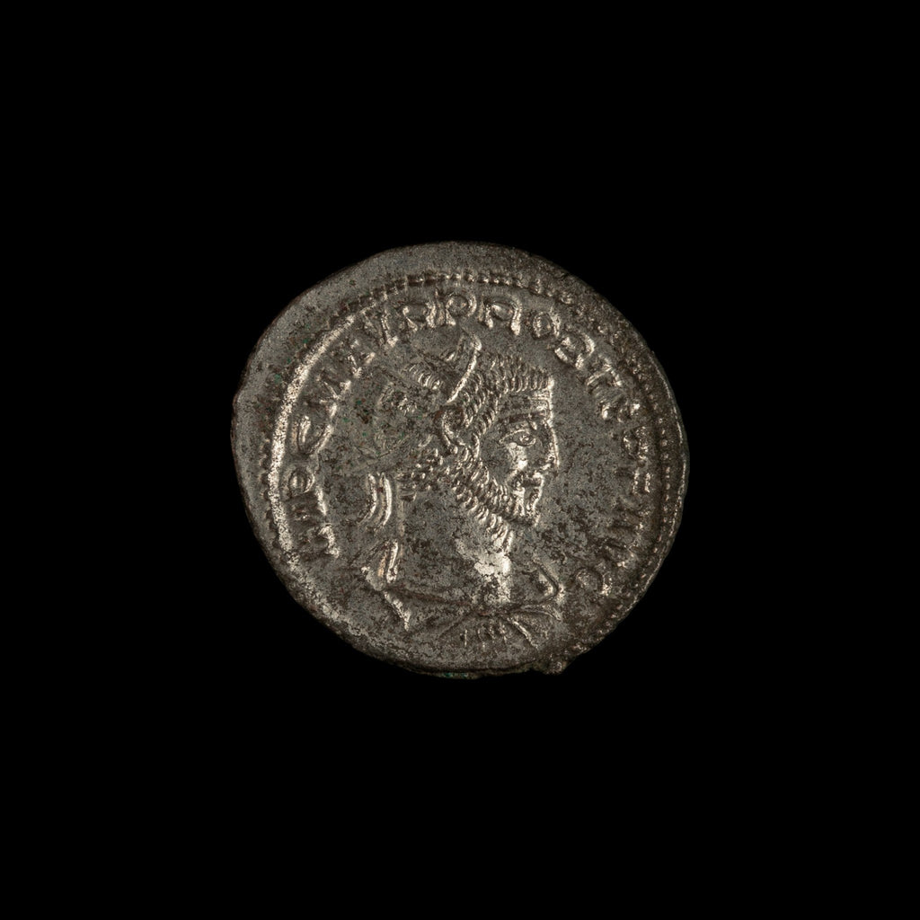 Obverse of Roman silver antoninianus of Probus, legend IMP C M AVR PROBVS P F AVG, radiate or laureate bust right.