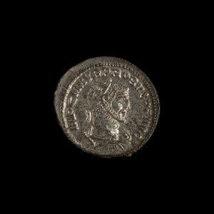 Obverse of Roman silver antoninianus of Probus, legend IMP C M AVR PROBVS P F AVG, radiate or laureate bust right.