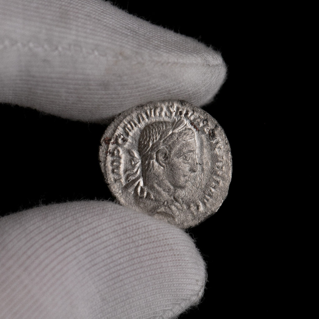 Macro detail of Roman silver denarius of Severus Alexander, portrait close-up.