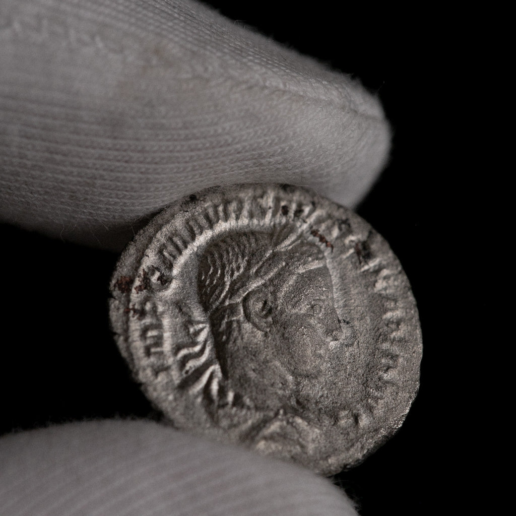 Macro detail of Roman silver denarius of Severus Alexander, portrait close-up.