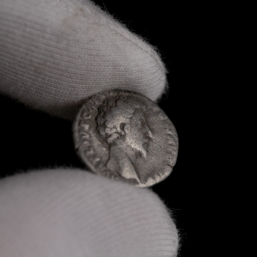 Macro detail of Roman silver denarius of Marcus Aurelius (Caesar), portrait close-up.
