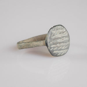 Roman bronze signet ring Frondis, angled view showing fern-frond engraving and tapering hoop