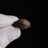 Early Medieval Bronze Ring with Punched Dot Bezel - 'Byzantion' (6th–11th CE) — view 9