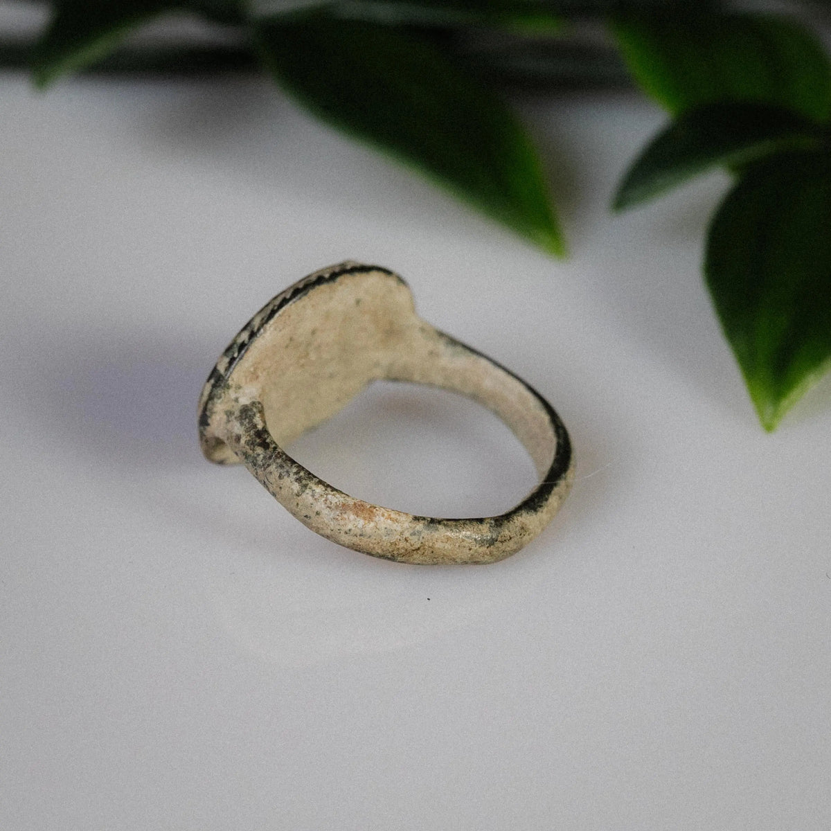 Early Medieval Bronze Ring 'Aegis' (9th-12th c. CE) EU 51/US 6