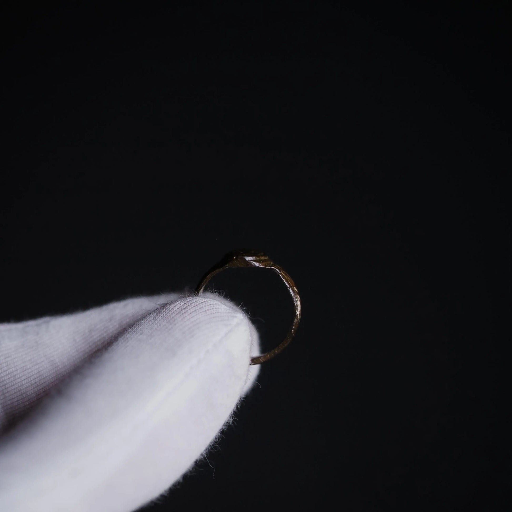 'Columba' - Post-Medieval Ring (17th-19th C. CE) EU 52 / US 6 Aurora Antiqua