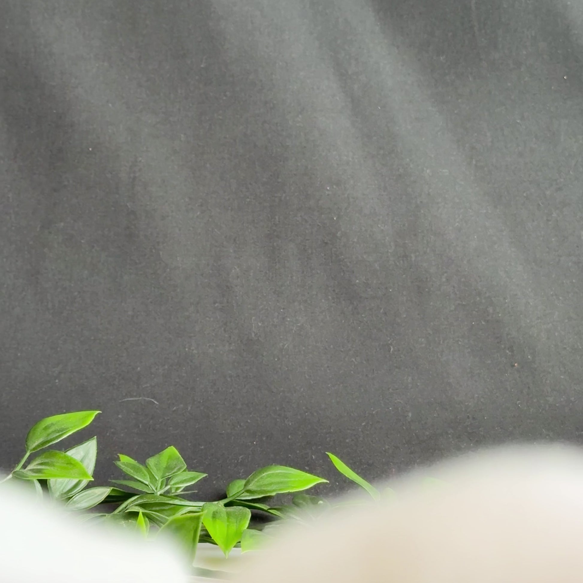 'Roderic' - Medieval Bronze Ring (12th C. CE) EU 48 / US 4¼