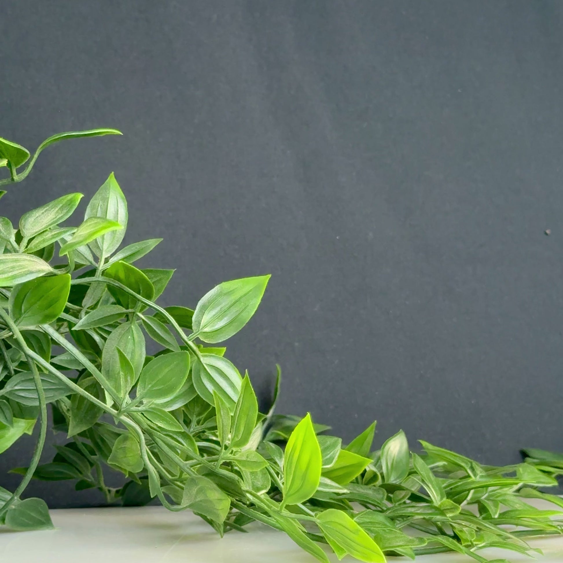 'Ioannes' - Byzantine Terracotta Oil Lamp (6th C. CE)