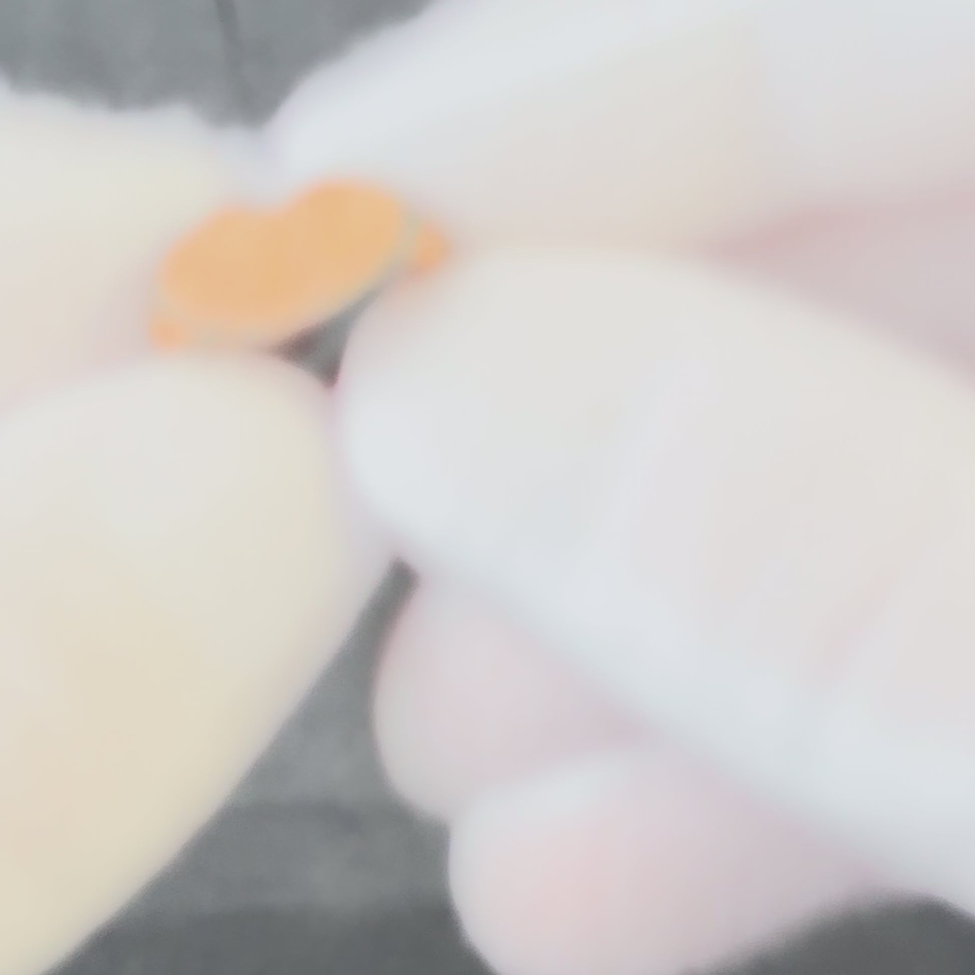 'Liora' - Medieval Bronze Ring (9th–13th C. CE) EU 48 / US 4.5