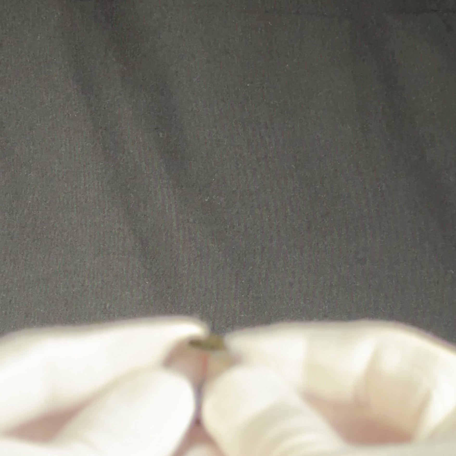 ‘Henricus’ - Medieval to Early Modern Bronze Signet Ring (14th–17th C. CE) EU 61 / US 9.5