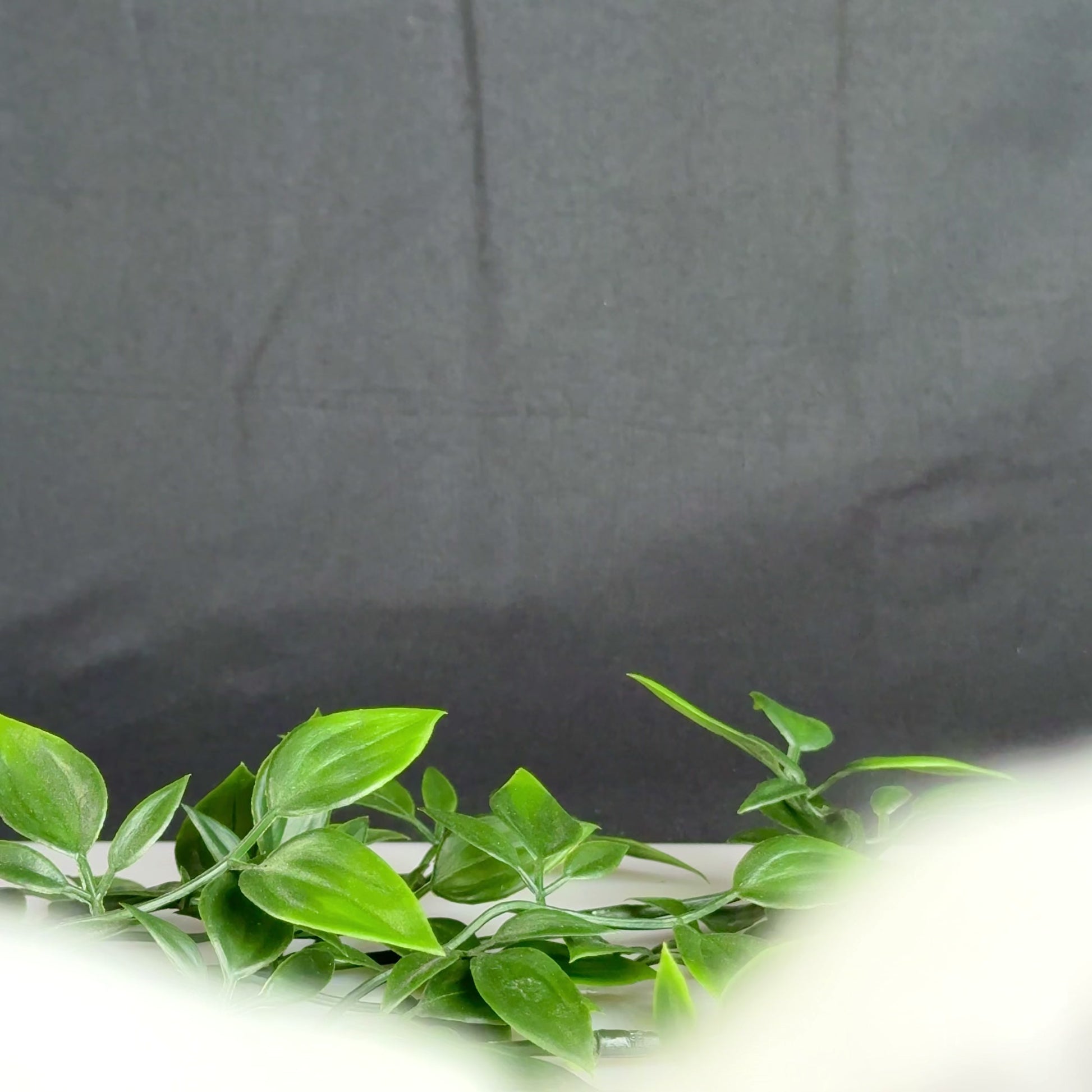 'Ignatius' - Medieval Bronze Ring (13th–17th C. CE) EU 51 / US 5.5