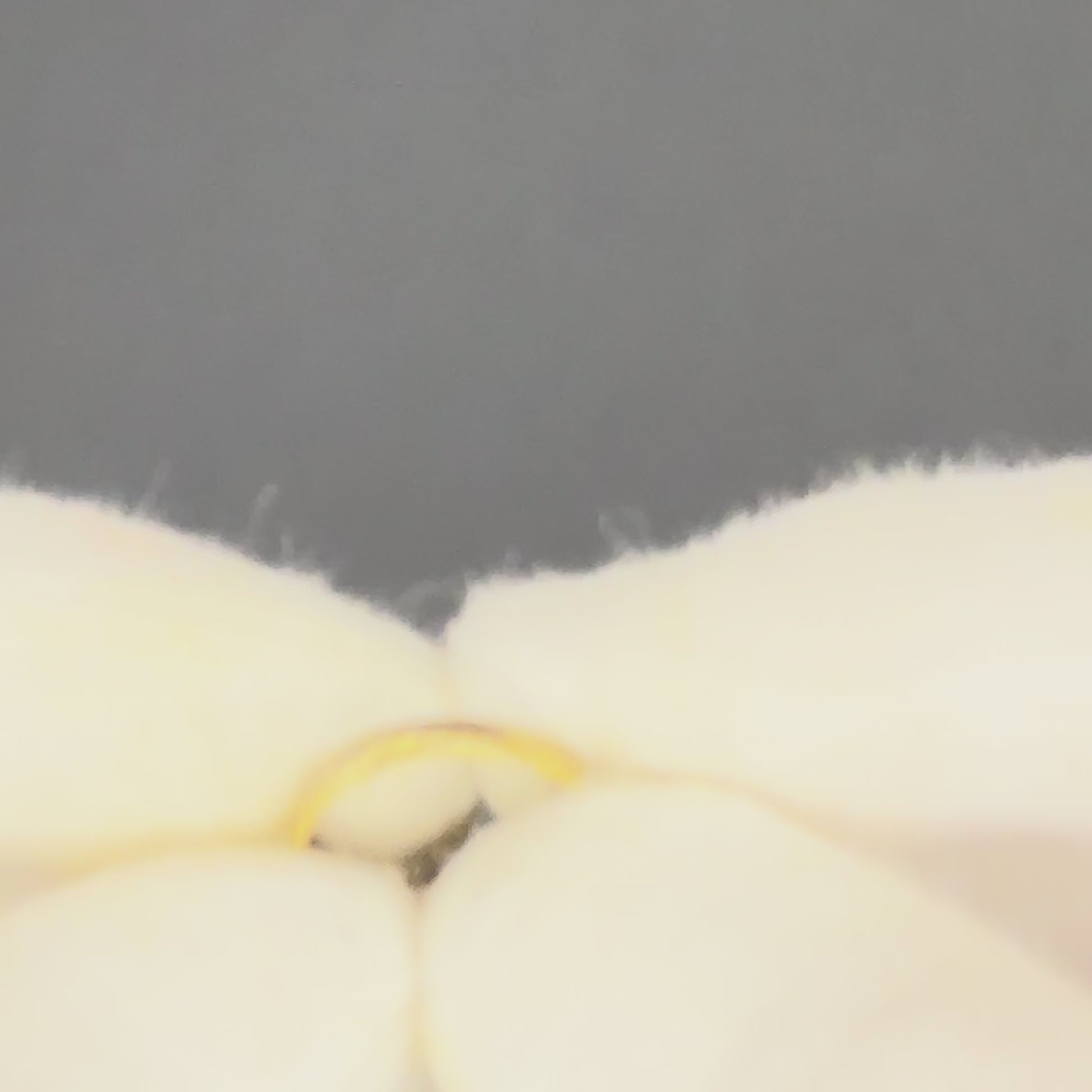 'Aurelia' – Medieval Bronze Ring  (13th–15th C. CE) EU 59 / US 8.75