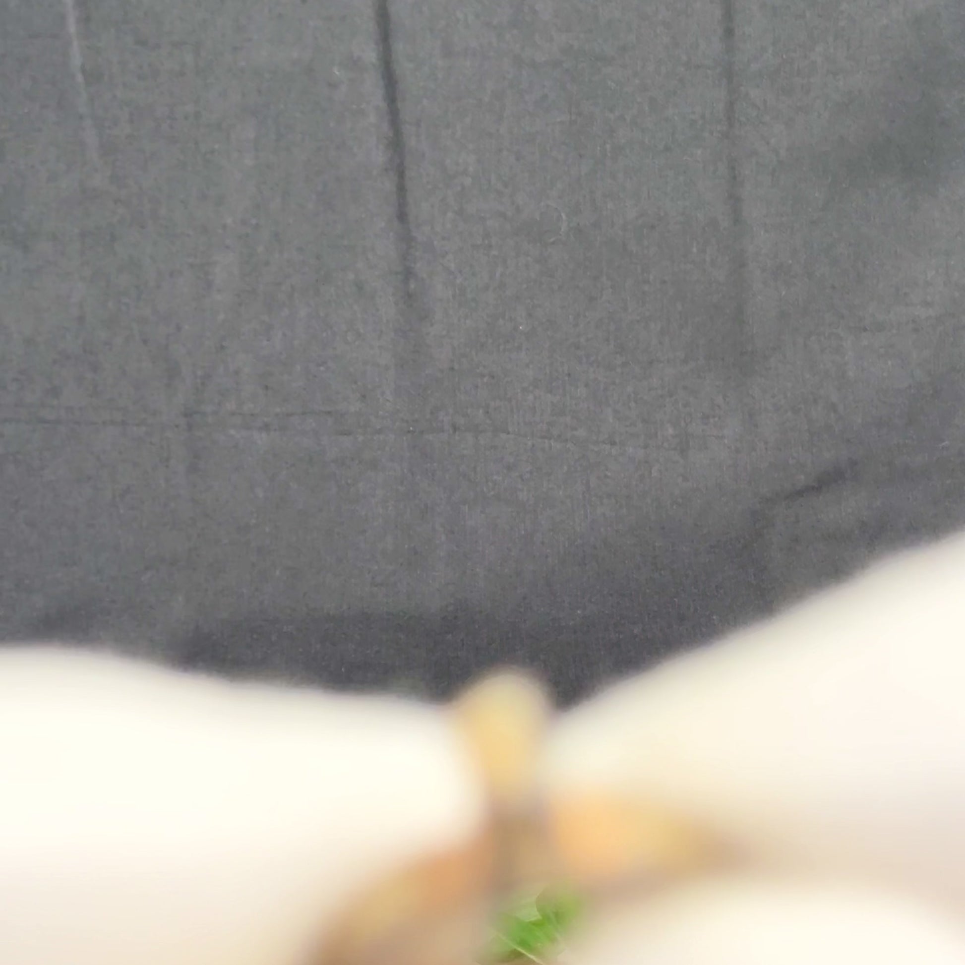 'Aldrich' -Medieval Bronze Ring (13th–17th C.CE) EU 52 / US 6