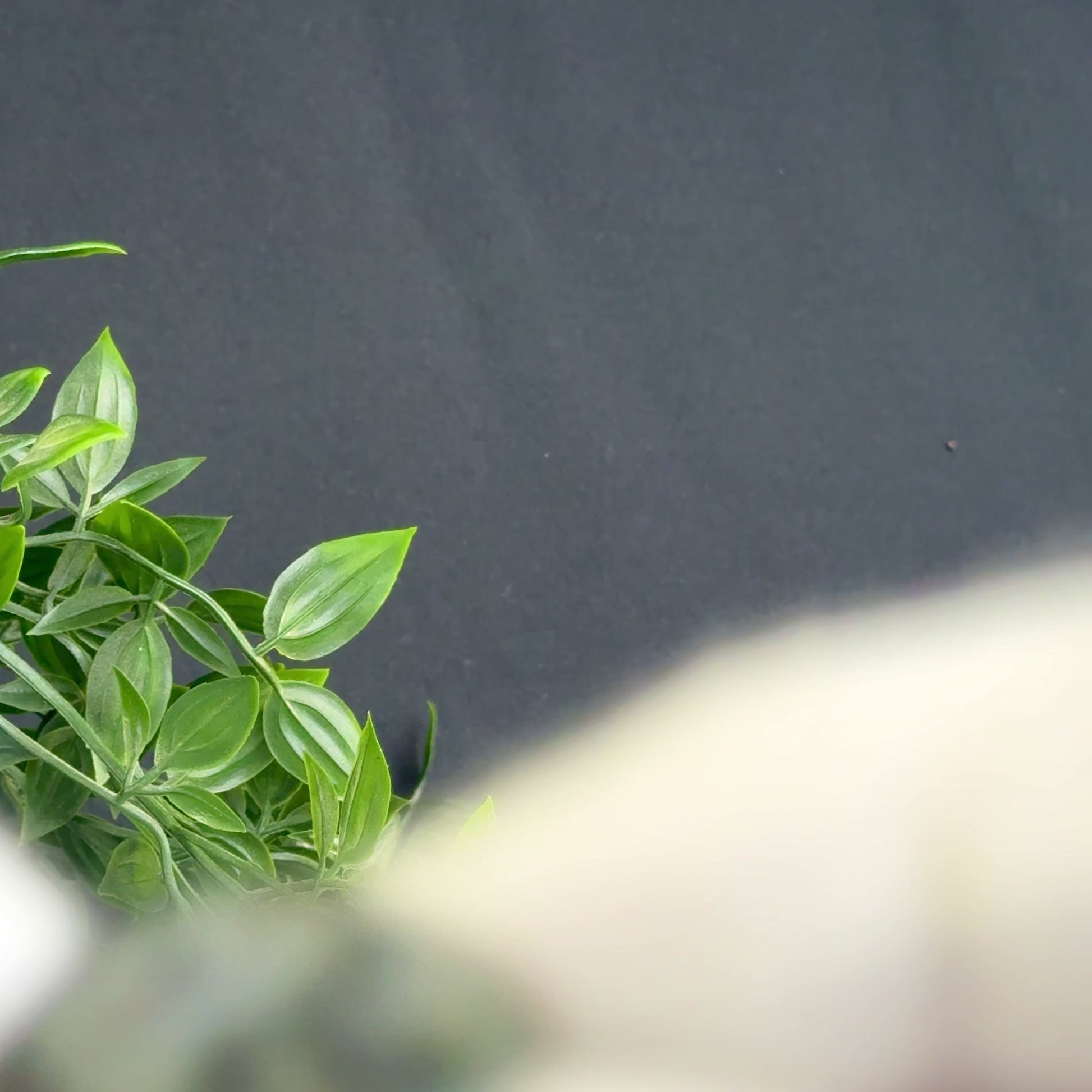 'Iphios' - Greek Bronze Ring (5th C. BCE)  EU 60 / US 9.5